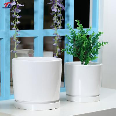 China Bulk Minimalist Wholesale Square White Ceramic Succulent Flower Pots for sale