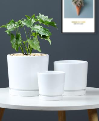 China Indoor factory contemporary cheap white ceramic flower pot for sale for sale