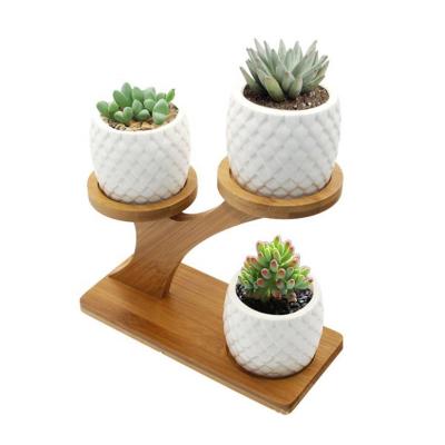 China Modern Home Folding 3 Tier Desktop Decor Plant Stand and Bamboo Plant Shelf for Succulents Potted Plant for sale