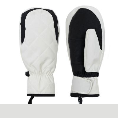 China Direct Sale Fashion Portable Professional Waterproof Winter Manufacturer Warm Gloves for Skiing for sale