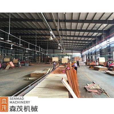 China Plywood Manufacturer China 4*8ft Plywood Veneer Paving Line / Plywood Forming Machine for sale