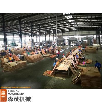 China Real plywood maker factory plywood machine maker plywood paving line for sale