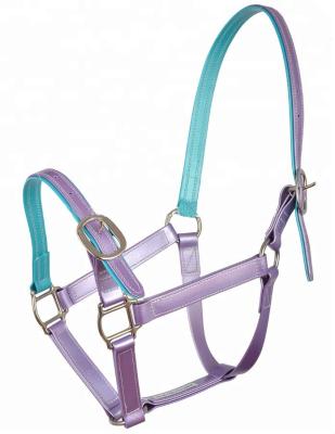 China Eco - Friendly Arabian Colorful PVC Horse Halter For Horse Racing for sale