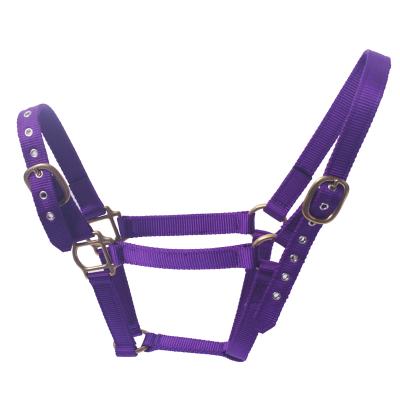 China Durable Durable Nylon Horse Training Halter From Youtube With Stong Buckle, Nylon Horse Head Collar for sale