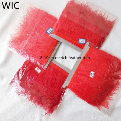 China Fashion Ready to Ship 8-10cm Dyed Red Fringe Ostrich Feather Trim Lace Trimming Pajama Robe Garment Decor for sale