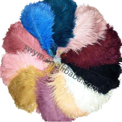 China Festival Decoration Premium Quality Dyed Color 25-45cm / 12-18in Wholesale Import Ostrich Feathers White Feathers For Wedding Carnival for sale