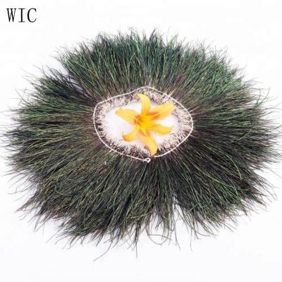 China High Quality Garment Feather 6-8cm Peacock Feather Dyed Fringe for sale