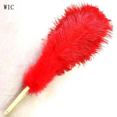 China Party Accessories 75cm Boa Ostrich Feathers Feather Fan Costume for sale