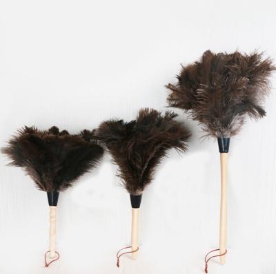 China Ablity China Supplier Super Ostrich Feather Bamboo Cleaning Cloth Handle for sale