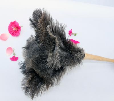 China Capacity Factory Suppliers Super Ostrich Feather Cleaning High Quality Cloth for sale