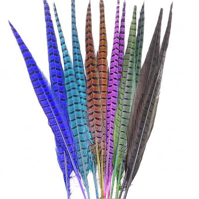 China Factory Price Luxury Natural Fahion/Madam Amherst Pheasant Tail 45-50cm/18-20in Feathered Ringneck Dyed Feather For Costumes for sale