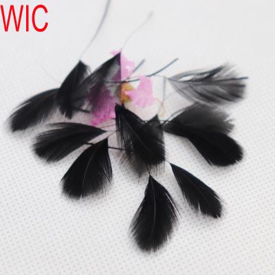 China Pheasant Feather Factory Directly Supply China Chiefs Tail Feathers 70-75cm Exporting Ringneck Dyed Almond Pheasant Feather Fringes for sale