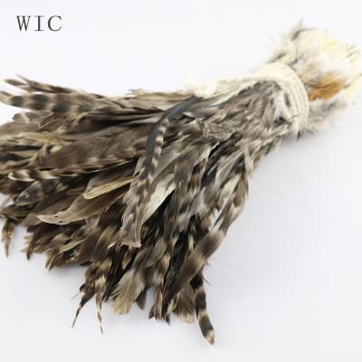 China Fashion ; DIY; Long Striped Decoration Rock Chicken Tail Feather In Natural Color for sale