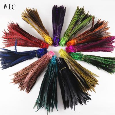 China Carnival Decoration Dyed Chief Justices Tail Feathers For Carnival Decorations for sale