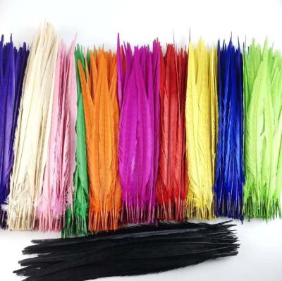 China 10-100cm Ringneck Decorations Colorful Dyed Pheasant Tail Feather In Stock For Sale for sale