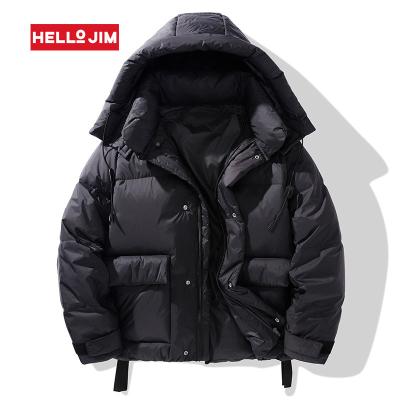 China 2022 New Dropshipping Hoodies Anti-wrinkle Winter Jacket 90% Duck Down White Winter Men's Down Parka Stripper Jacket for sale