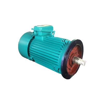 China YZR-315S-10 50KW YZR Series Drip Proof Induction Motor for sale