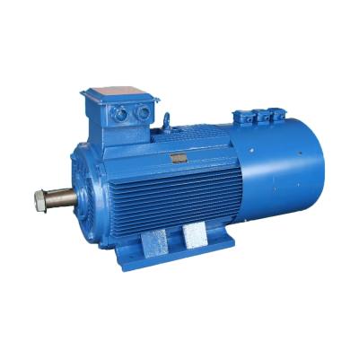 China 200KW 6 Pole 3ph Waterproof Induction Motor For Crane Applications for sale