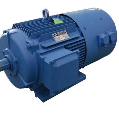 China 2 Pole IE3 Waterproof Standard Three Phase Asynchronous Motor 160KW for sale