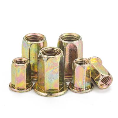 China Heavy Industry Carbon Steel M4 M5 M6 M8 M10 Blind Rivet Nut Galvanized Grade 4.8 Full Head Galvanized Flat Hex Hex for sale