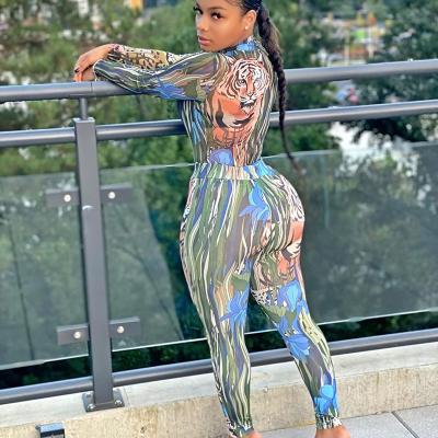 China Breathable Wholesale New Arrivals Tiger Printed Fashion See Through Mesh Leggings Two Piece Pants Set For Women for sale