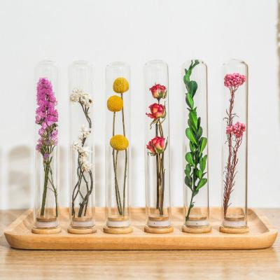 China Amazon Wholesale Home Decoration Weding True Success Flower Glass Test Tube Bottle Natural Dried Dried Flowers For Home Decor Layout for sale