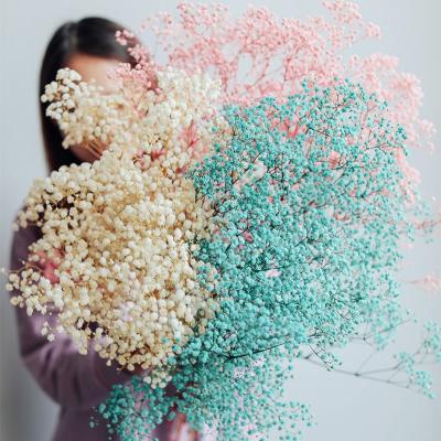 China Wedding Flower Arrangements True Yuntu Dried Forever Preserved Flowers Brush Baby's Breath Gypsophila Wedding Bouquet Decoration for sale