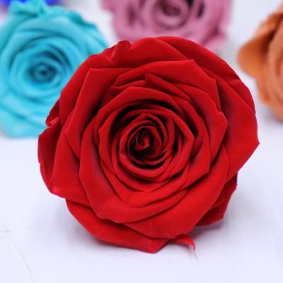 China Wedding Flower Arrangements Real Natural Yuntu Touch Eternal Forever Preserved Roses 5-6 Cm Stabilized A Grade Rose Buds Rose Heads for sale