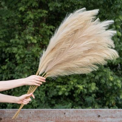 China Beautiful Colorful Fake Artificial Flower Large Yuntu Artificial Flower Fluffy Pampas Grass For Dry Flower Home Wedding Decor for sale