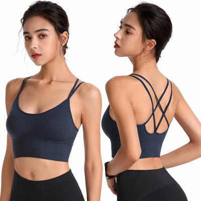 China Cross Youth Waist Sports Backless Breathable Absorbent Breathable Quick Dry Bra Shockproof Elastic Seamless Plus Hippie for sale