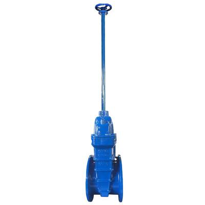 China General Soft Seal PN16 Gate Valve Iron Extension Stem Resilient Malleable Gate Valve for sale