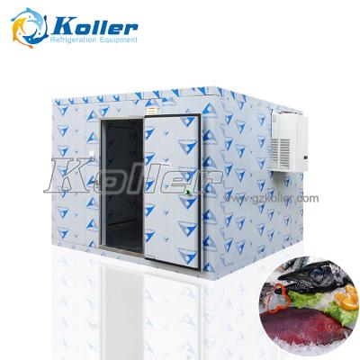 China Frozen Food Processing Fish Cold Storage Machinery Cold Room For Meat And Fish for sale