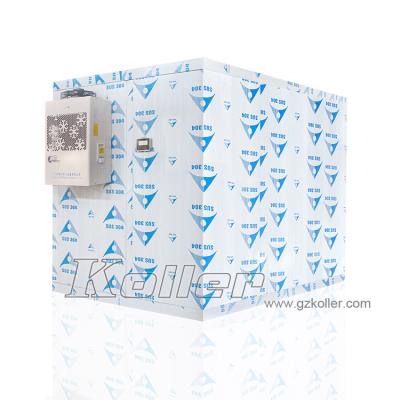 China Hotels mono block condensing unit eqipped cold room for single phase voltage use for sale