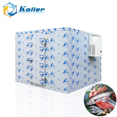 China Can keep foods fresh walking in refrigerator cold room for ice cube and ice block popsicle storage for sale