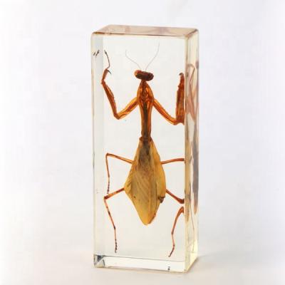 China China Insert Insect Mantis Crystal Paper Weight for sale