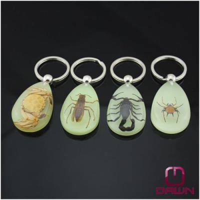 China Luminous Europe Real Bugs Amber Keychain With Scorpion for sale