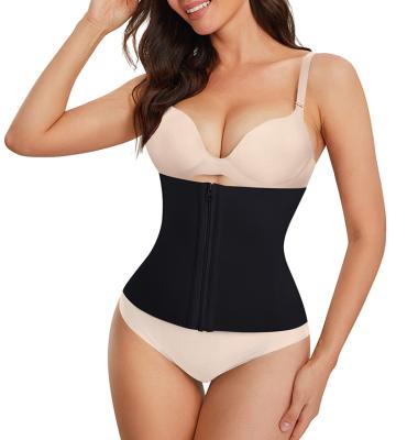 China Women Waist Trainer Seamless With Zipper Antibacterial Custom Logo Belly Slimming Shapewear Back Support for sale