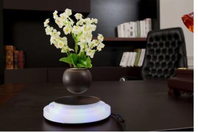 China led light magnetic levitation floating air bonsai flower pot tree plant for sale