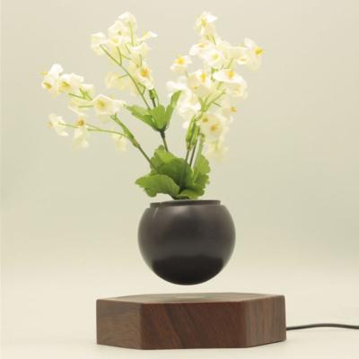 China wooden base creative magnetic levitation floating air bonsai plant tree flowerpotted for gift for sale