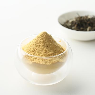 China Hot Sale 100% Natural Extract Instant Green Tea Powder Powder For Healthy Drinks for sale