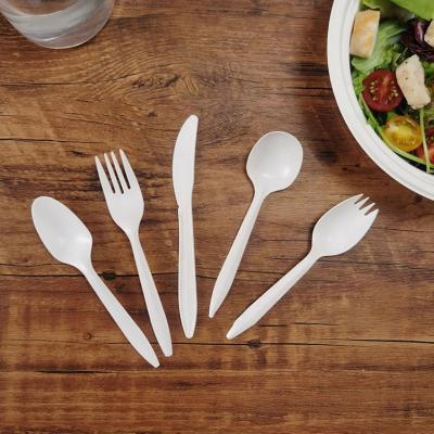 China Wholesale Disposable Biodegradable Disposable Wooden Tableware/Spoon/Fork/Knife for sale