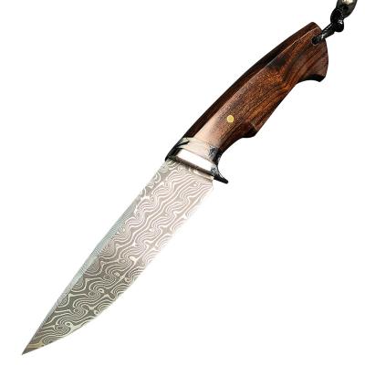 China Desert Non-variable Straight Handmade Ironwood Knife Damascus Tooth Gigantic Fossil With Sheath Leather Outdoor Camping EDC Hunting Knives for sale