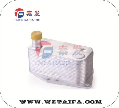 China Refrigerador de aceite durable de BMW, BMW E90 refrigerador 2007 de aceite del coche de 3 SERIES 11427787698 en venta