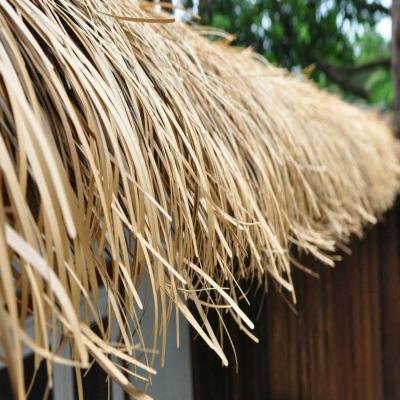 China Wholesale Roofing Reed Real Promotion List Plastic Palm Leaf Materials Maldives Inside Style For Bar Roof Thatch House zu verkaufen