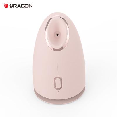 China Hot Selling Moisturizer Factory Wholesale Nano Facial Steamer Ionic Face Steamer for sale