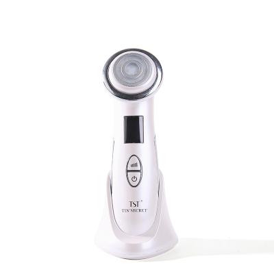 China Multifunction Skin Revitalizer Guangzhou EMS RF Facial Massager Beauty Instrument for sale