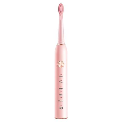 China Factory Hot Sale Adult Battery Operated Sonic Electric Toothbrush DW20-XM801 for sale