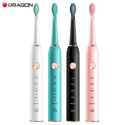 China Hot Sale Factory Wholesale Automatic Rechargeable Electric Toothbrush DW20-XM801 for sale