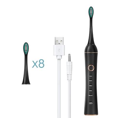 China Factory Hot Sale Custom Logo Electric Toothbrush Rechargeable Wholesale DW20-XM800 for sale