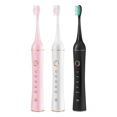 China Hot Sale Factory Wholesale Customized Electric Toothbrush With Less Noise DW20-XM800 for sale